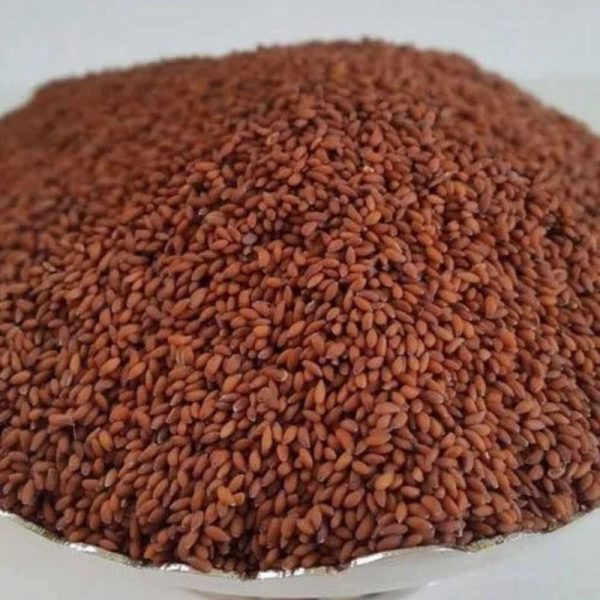 Aselio (Halam/Haloon Seeds) - Image 2
