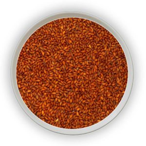 Aselio