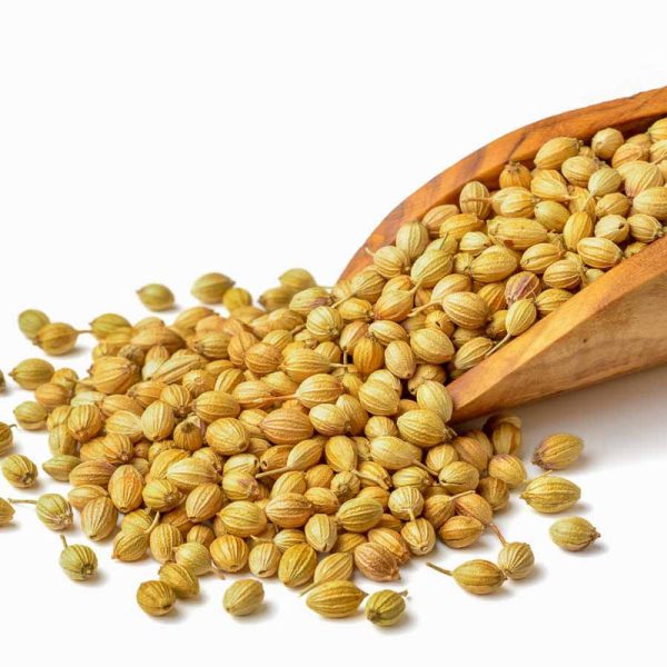 Coriander Seeds-2