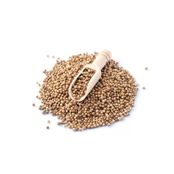 Coriander (Dhaniya) - Image 4