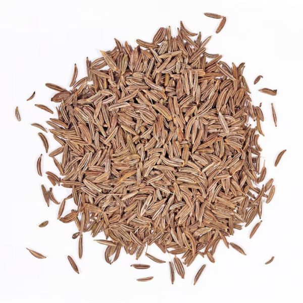 Cumin (Jeera) – Cuminum cyminum L - Image 4