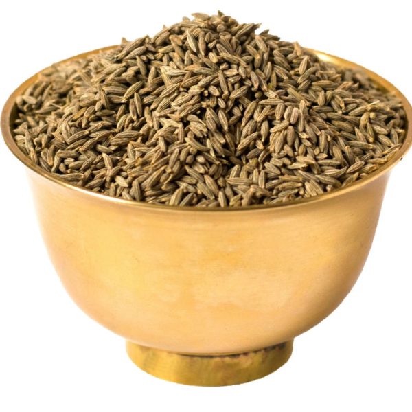 Cumin (Jeera) – Cuminum cyminum L - Image 2