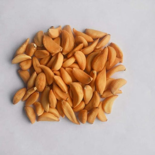 Garlic Flakes - Image 4