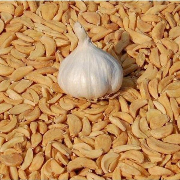 Garlic Flakes - Image 3