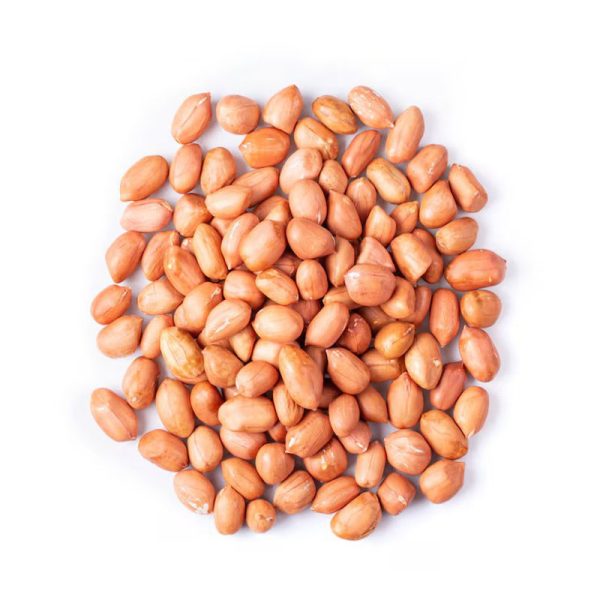 Groundnut Kernel - Image 2