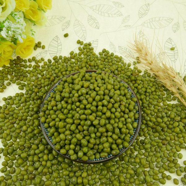 Mung Beans - Image 3