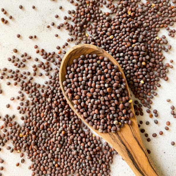 Mustard Seeds - Image 2