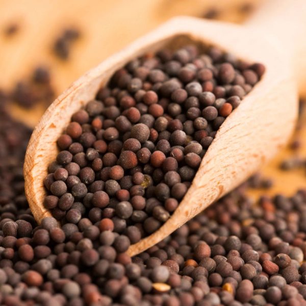 Mustard Seeds - Image 4