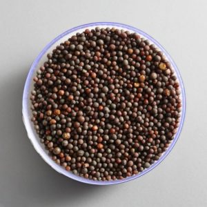 Mustard Seeds