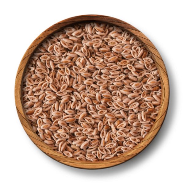 Psyllium Seeds - Image 3