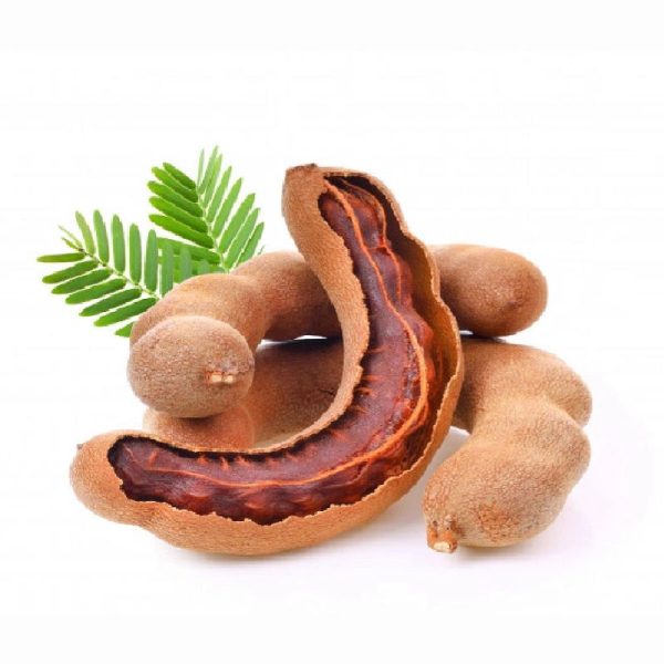 Tamarind - Image 4