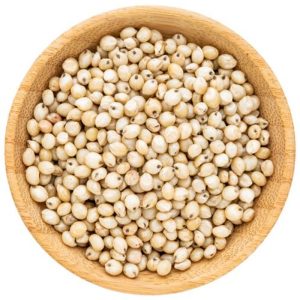 Sorghum Seeds
