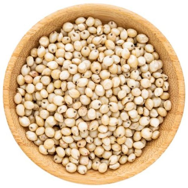 Sorghum Seeds