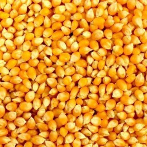 Popcorn - Image 4