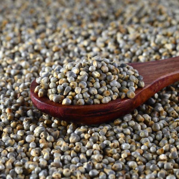 Millet (Bajra) - Image 4