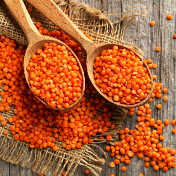 Lentils (Masoor Dal) - Image 4