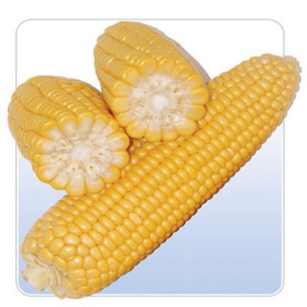 Maize - Image 2