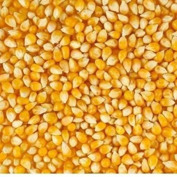Popcorn - Image 2