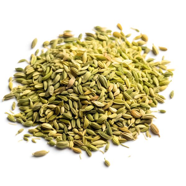 Fennel (Saunf) – Foeniculum vulgare - Image 3
