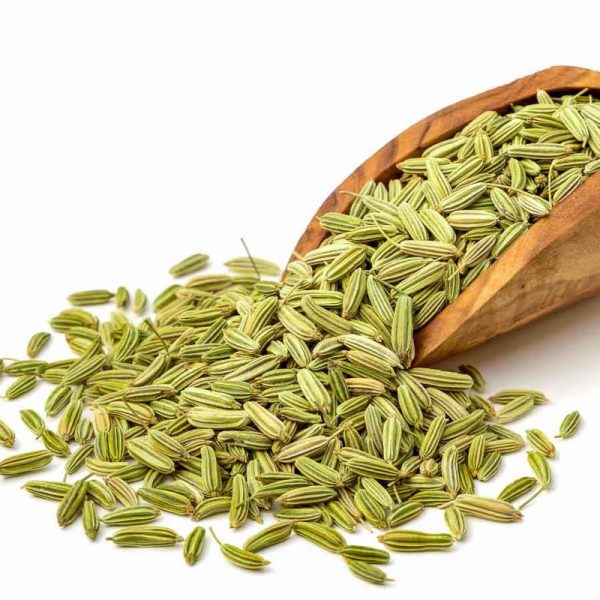 Fennel (Saunf) – Foeniculum vulgare - Image 2