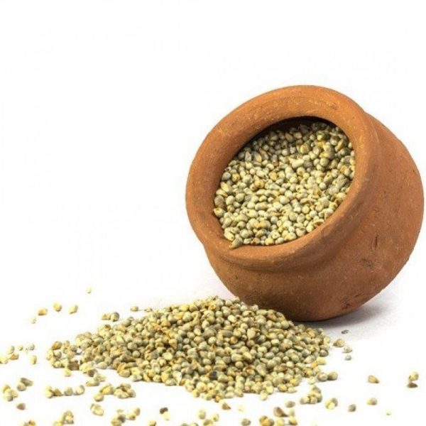 Millet (Bajra) - Image 2