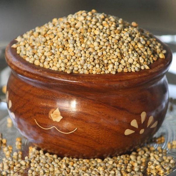 Millet (Bajra)
