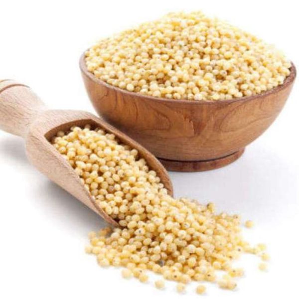 Sorghum Seeds - Image 2