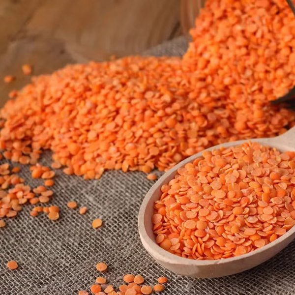 Lentils (Masoor Dal) - Image 2