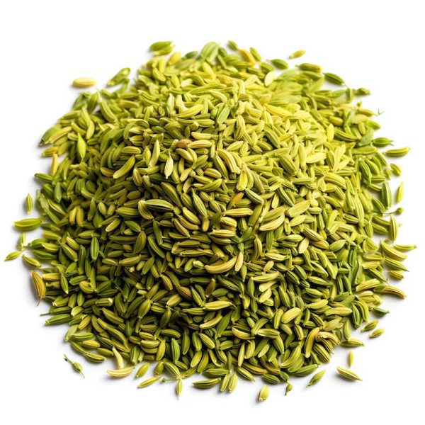 Fennel (Saunf) – Foeniculum vulgare - Image 4